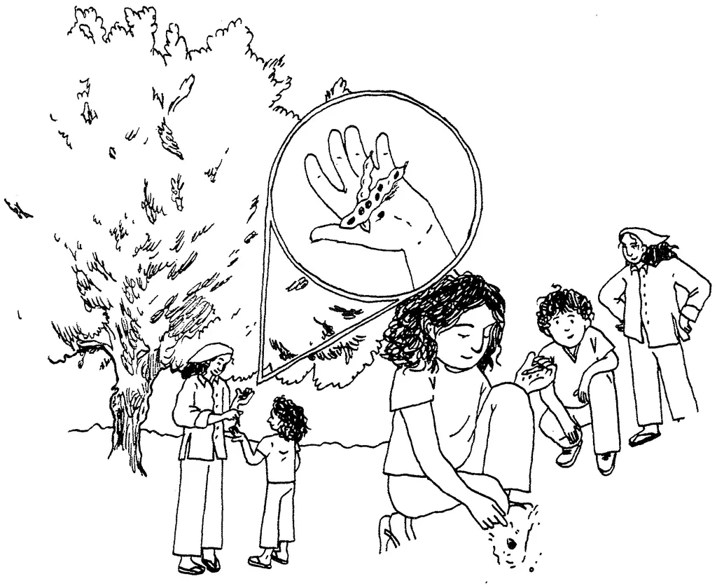 Illustration of seeds